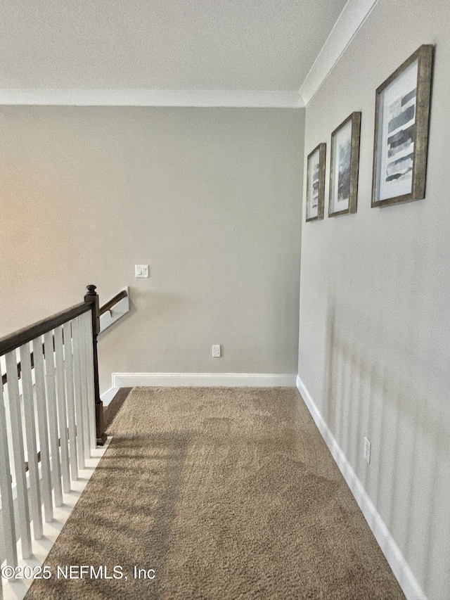 627 Rum Runner Way, Saint Johns, FL 32259 - corridor featuring carpet flooring and ornamental molding