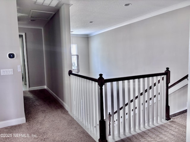 627 Rum Runner Way, Saint Johns, FL 32259 - photo 22