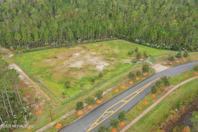 aerial view of a forest