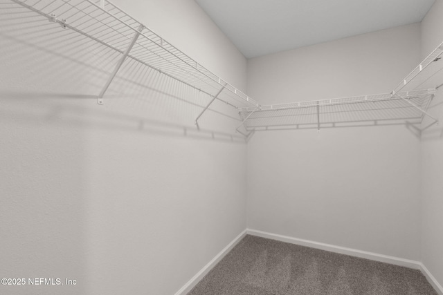 walk in closet with carpet
