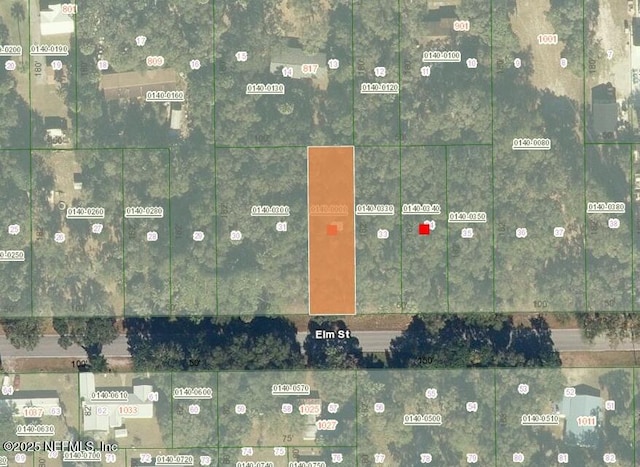 1024 Elm St, Welaka, FL 32193