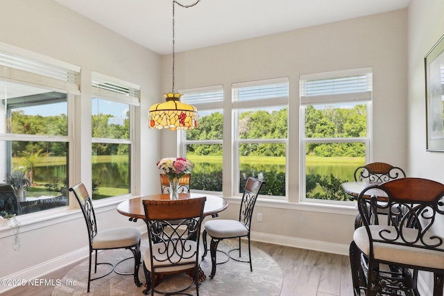 dining space featuring plenty of natural light