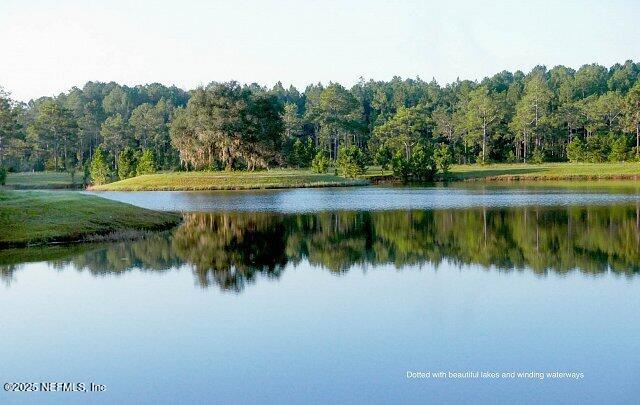 water view with a forest