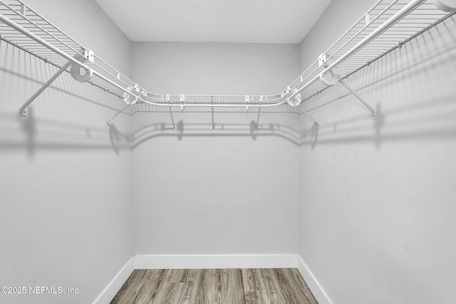 2032 Sandpiper Pt, Neptune Beach, FL 32266 - spacious closet featuring wood finished floors