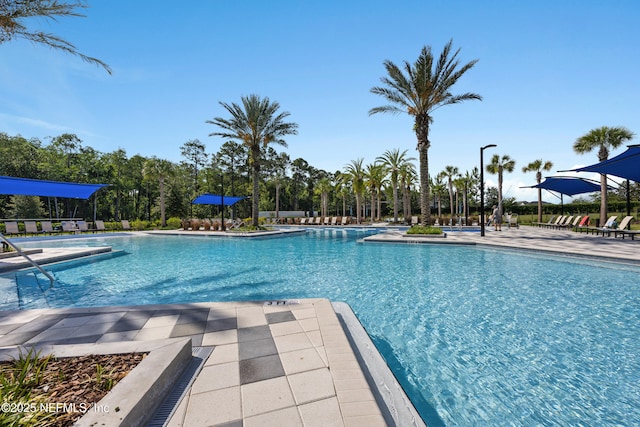9918 Filament Blvd, Jacksonville, FL 32256 - photo 40