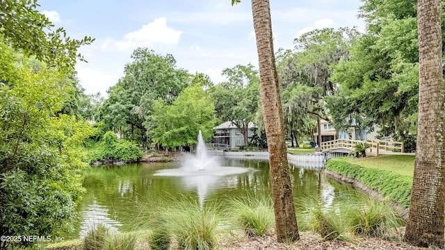 water view