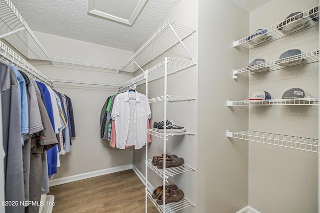 spacious closet featuring attic access and wood finished floors