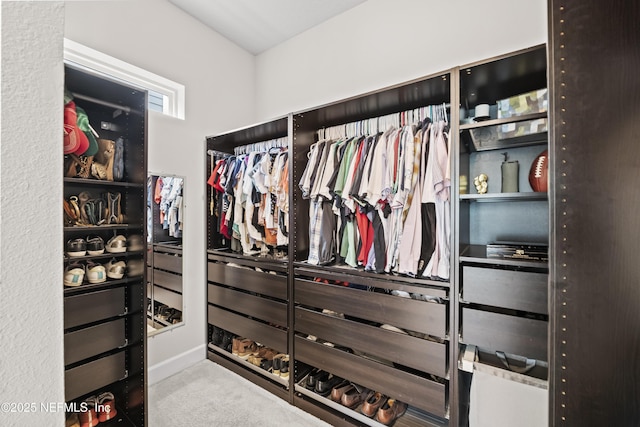 131 Seabrook Dr, Ponte Vedra, FL 32081 - walk in closet with carpet