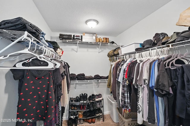 2483 Cortez Rd, Jacksonville, FL 32246 - walk in closet with carpet