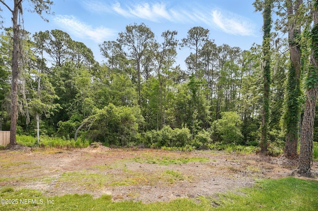 2483 Cortez Rd, Jacksonville, FL 32246 - view of woods