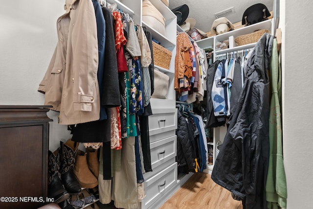 4328 Packer Meadow Way, Middleburg, FL 32068 - spacious closet with wood finished floors