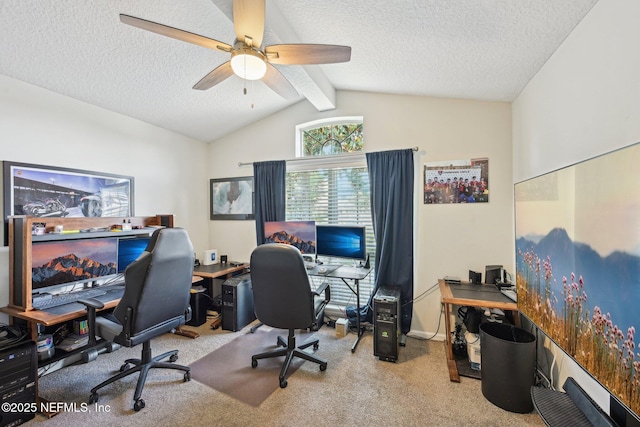 1009 Welaka Way, Saint Augustine, FL 32092 - office space featuring ceiling fan, carpet, and a textured ceiling
