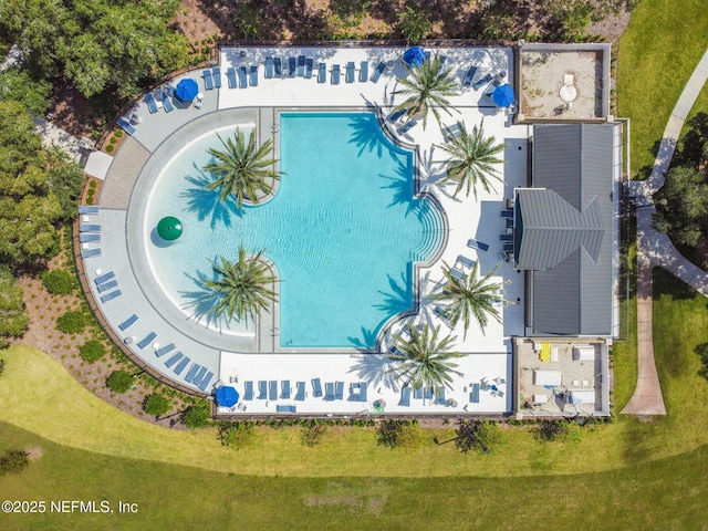 bird's eye view of a pool