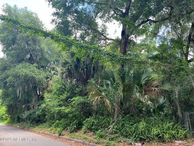 821 S 13th St, Palatka, FL 32177 - photo 4