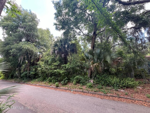 821 S 13th St, Palatka, FL 32177 - photo 5