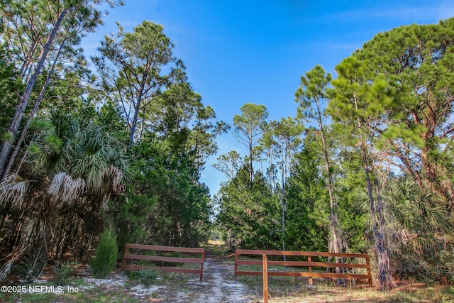 355 Caiden Dr, Ponte Vedra, FL 32081 - view of yard