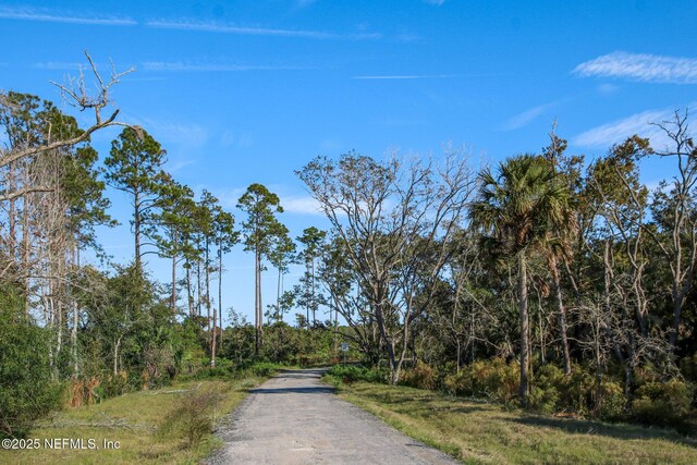 355 Caiden Dr, Ponte Vedra, FL 32081 - view of street with a view of trees