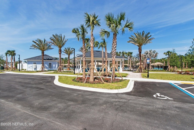 355 Caiden Dr, Ponte Vedra, FL 32081 - view of jungle gym