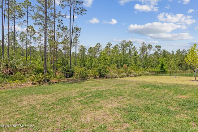 355 Caiden Dr, Ponte Vedra, FL 32081 - view of yard