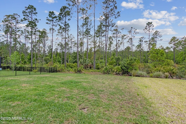 355 Caiden Dr, Ponte Vedra, FL 32081 - view of yard