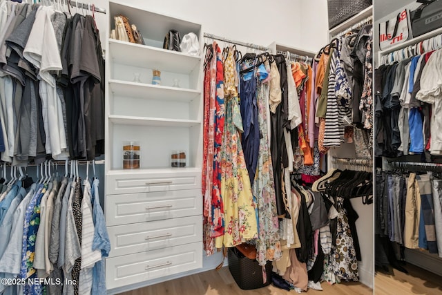 355 Caiden Dr, Ponte Vedra, FL 32081 - spacious closet featuring wood finished floors