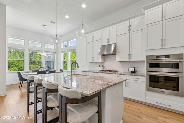 355 Caiden Dr, Ponte Vedra, FL 32081 - kitchen with stainless steel appliances, a sink, under cabinet range hood, recessed lighting, and light wood-style floors