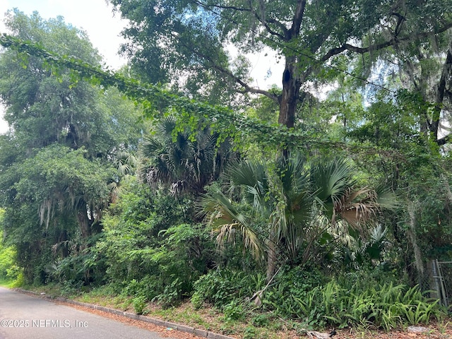 823 S 13th St, Palatka, FL 32177 - photo 2
