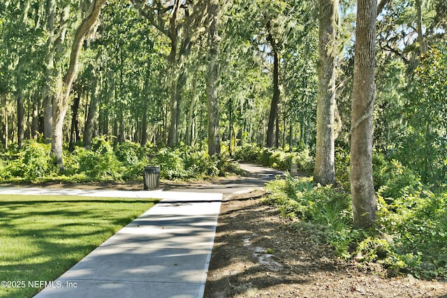 285 Yearling Blvd, Saint Johns, FL 32259 - surrounding community with a forest view