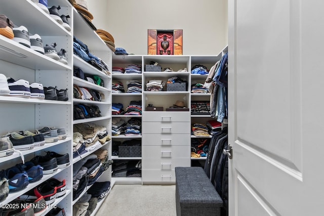 110 Heron Dr, Palm Coast, FL 32137 - spacious closet with carpet