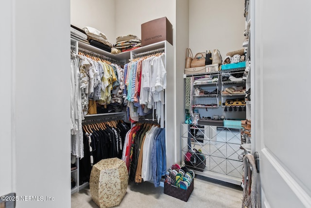 110 Heron Dr, Palm Coast, FL 32137 - spacious closet with carpet floors