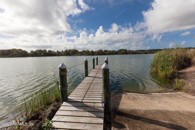 110 Heron Dr, Palm Coast, FL 32137 - dock with a water view