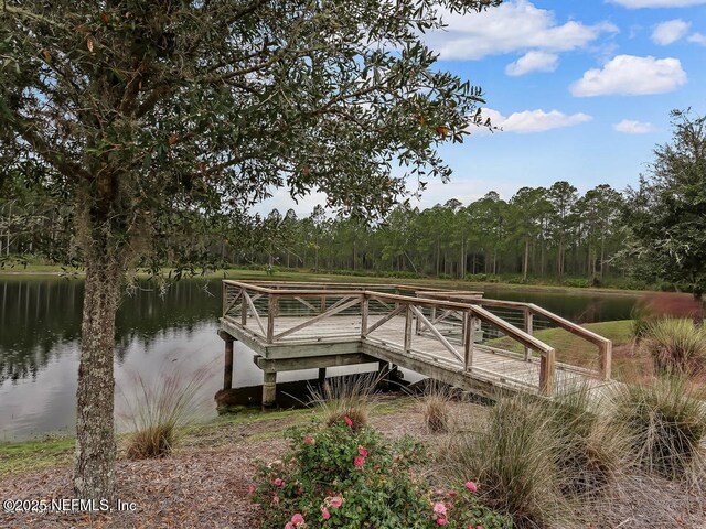 9936 Pavnes Creek Dr, Jacksonville, FL 32222 - photo 46
