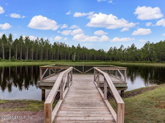 9936 Pavnes Creek Dr, Jacksonville, FL 32222 - photo 47