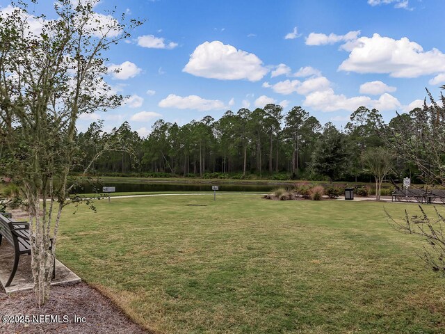9936 Pavnes Creek Dr, Jacksonville, FL 32222 - photo 48
