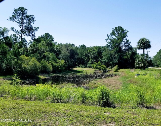 221 Live Oak Blvd, Crescent City, FL 32112 - photo 3