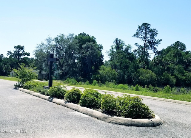 221 Live Oak Blvd, Crescent City, FL 32112 - photo 2