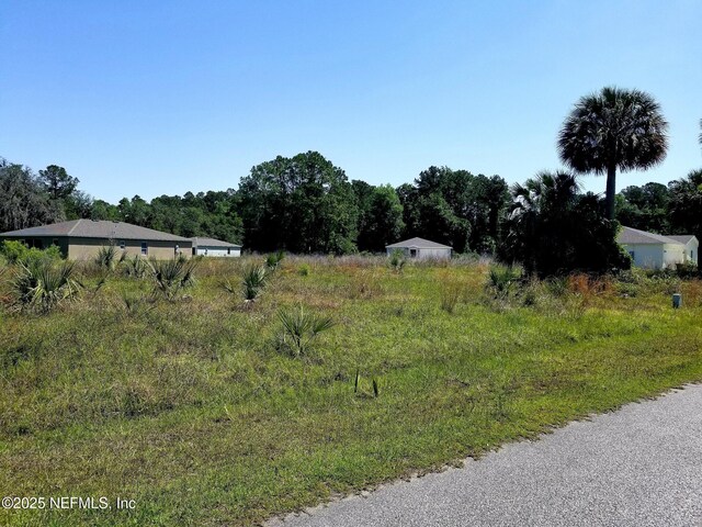 221 Live Oak Blvd, Crescent City, FL 32112 - photo 5
