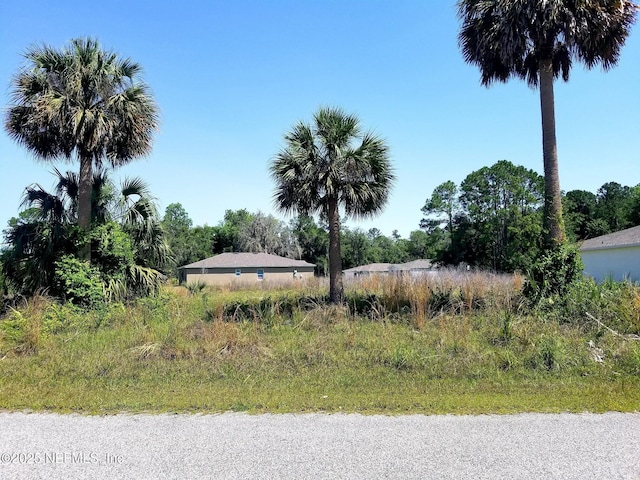 221 Live Oak Blvd, Crescent City, FL 32112 - photo 4
