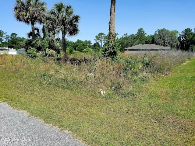 221 Live Oak Blvd, Crescent City, FL 32112 - photo 6