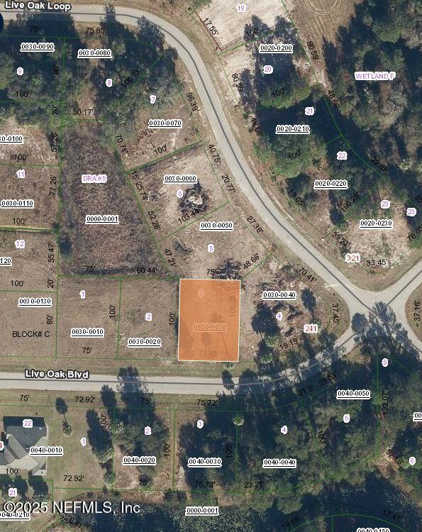 221 Live Oak Blvd, Crescent City, FL 32112 - photo 8