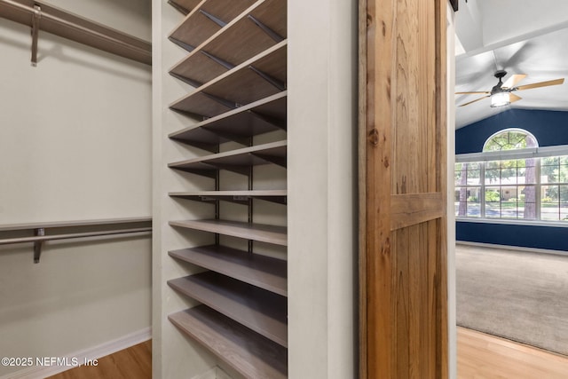 96131 River Marsh Bnd, Fernandina Beach, FL 32034 - spacious closet featuring wood finished floors, vaulted ceiling, and ceiling fan