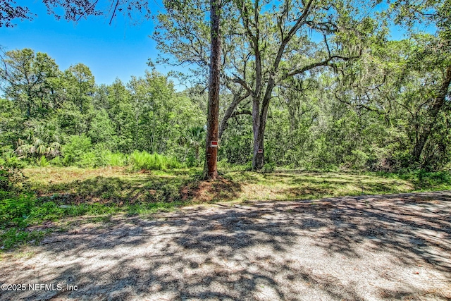 5406 Mary Ave, Fernandina Beach, FL 32034 - photo 4