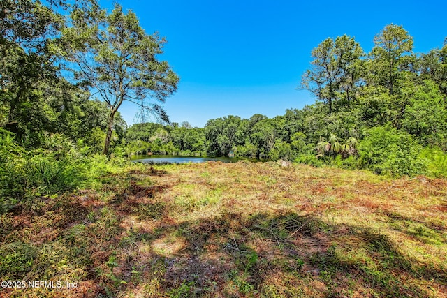 5406 Mary Ave, Fernandina Beach, FL 32034 - photo 10