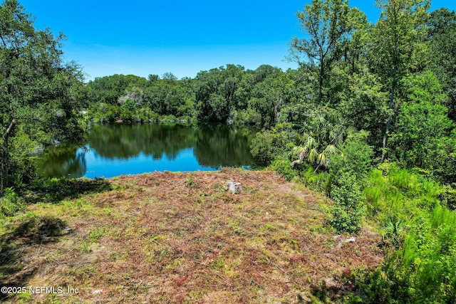 5406 Mary Ave, Fernandina Beach, FL 32034 - photo 12