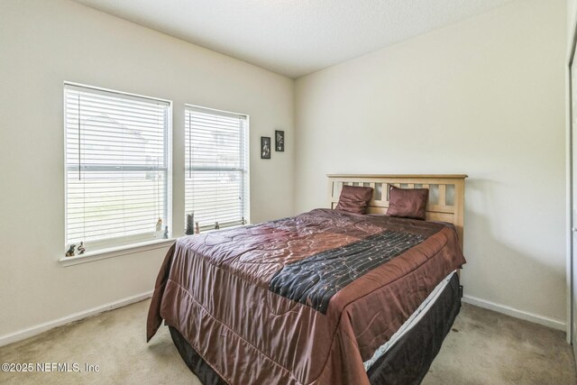 5195 Johnson Lake Ct, Jacksonville, FL 32218 - photo 22