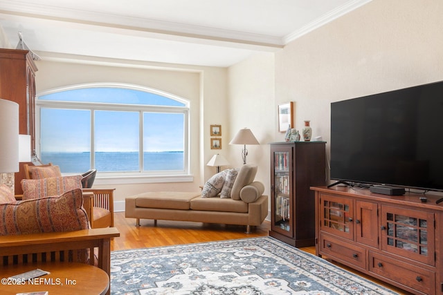 1846 Margaret St Unit 7C, Jacksonville, FL 32204 - living area featuring wood finished floors and ornamental molding