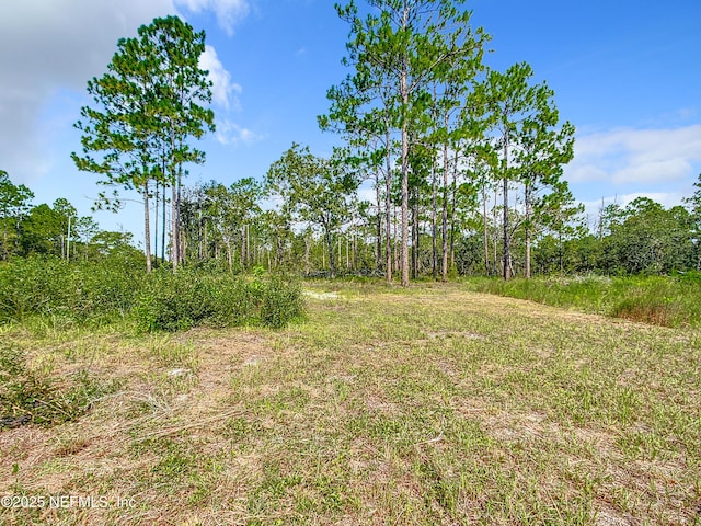 23063 SW Edgewater Blvd, Dunnellon, FL 34431 - view of local wilderness
