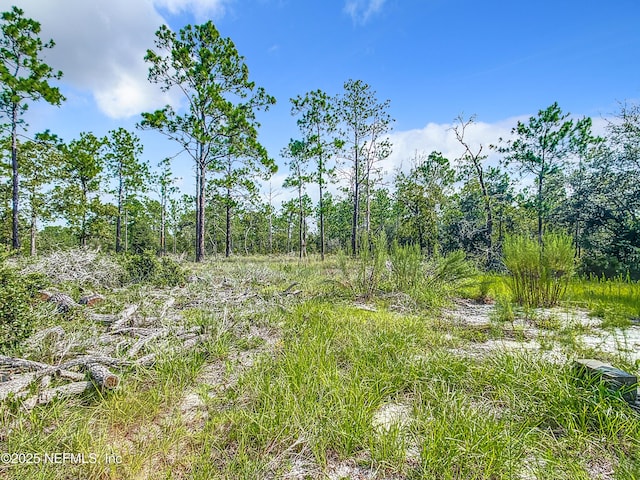 23063 SW Edgewater Blvd, Dunnellon, FL 34431 - view of local wilderness