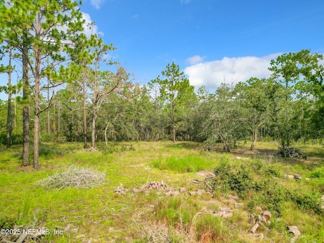 23063 SW Edgewater Blvd, Dunnellon, FL 34431 - view of woods