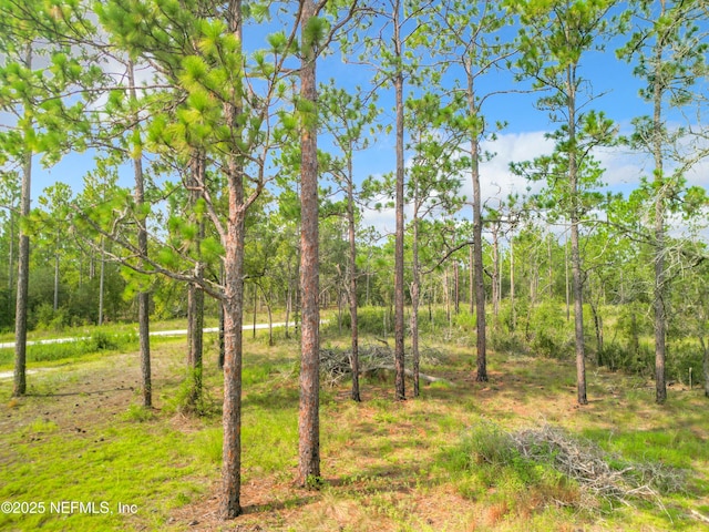 23063 SW Edgewater Blvd, Dunnellon, FL 34431 - view of undeveloped land